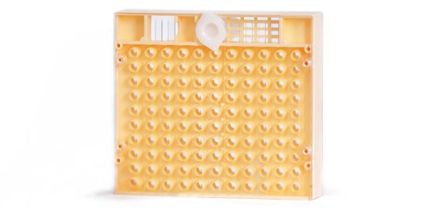 Cupularve - Zuchtkassette Nicot