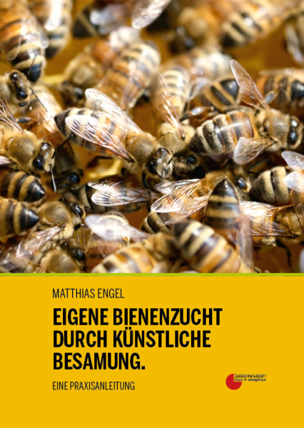 Matthias Engel, Eigene Bienenzucht durch künstliche Besamung
