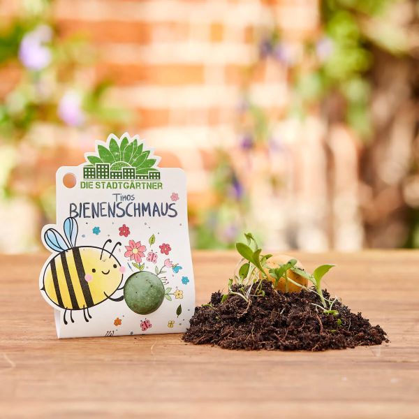 Blumenmurmel Bienenschmaus, 1 Stück