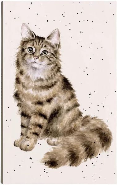 Notizblock "Feline Fabulous" Katze