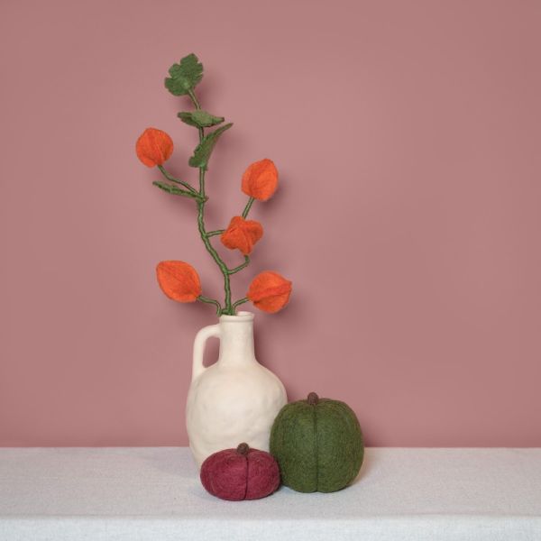 Filzblume - Physalis-Zweig