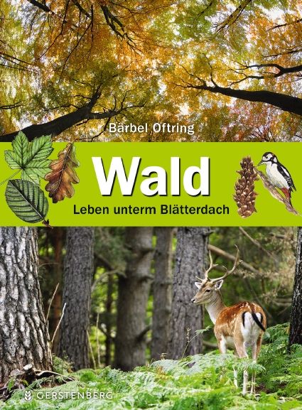 Bärbel Oftring, Lars Baus, Wald - Leben unterm Blätterdach