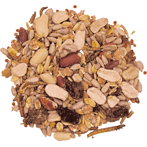 Vogelfutter "Schnabelfein", schalenlos, 2,5 kg