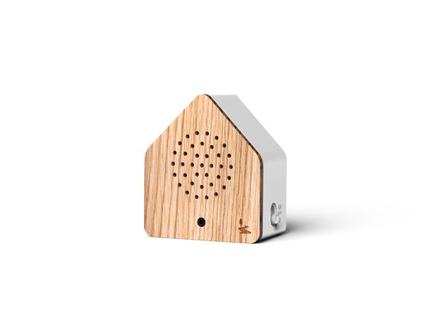 Satellitebox Forest Brook - Waldbach, Holz