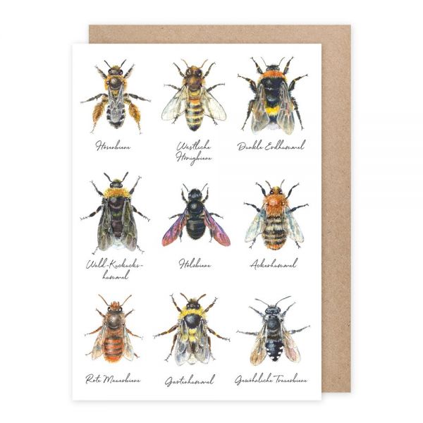 Doppelkarte "Wildbienen"