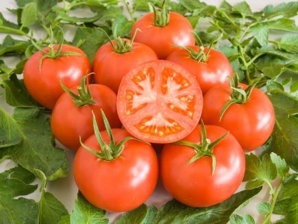 bingenheimer Saatgut Tomate "Berner Rose"