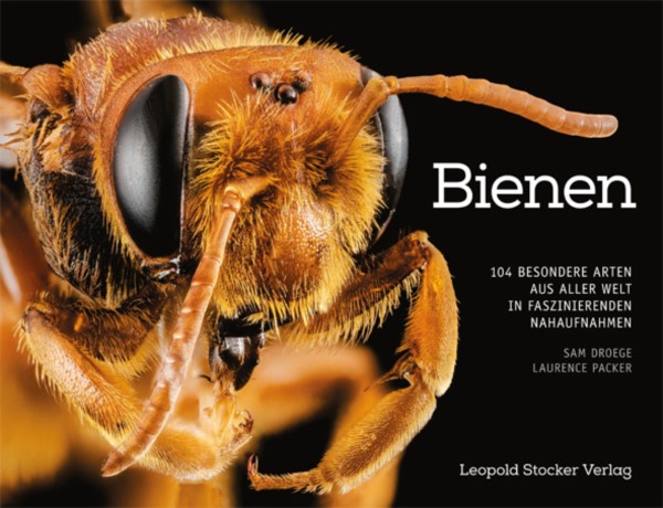 Droege, Bienen