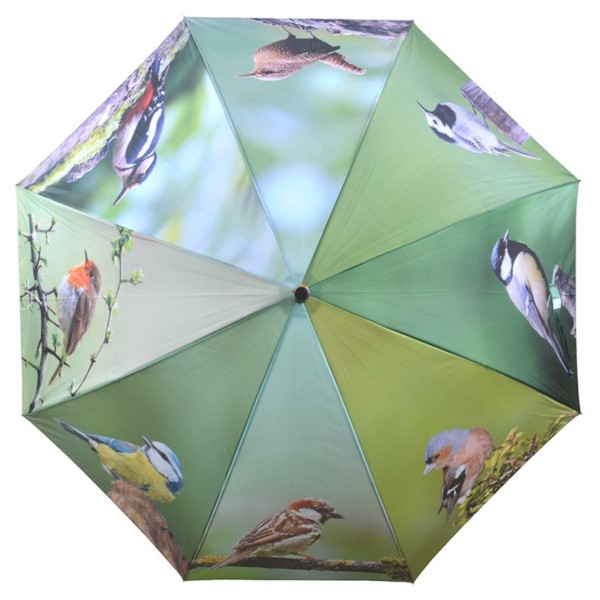Regenschirm Vögel