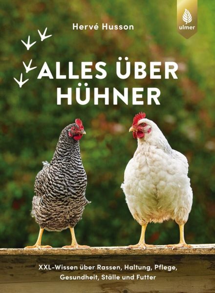 Hervé Husson, Alles über Hühner