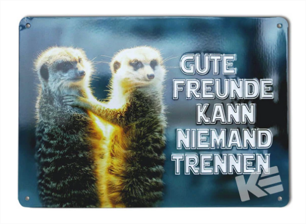 Metallschild "Gute Freunde kann niemand trennen"