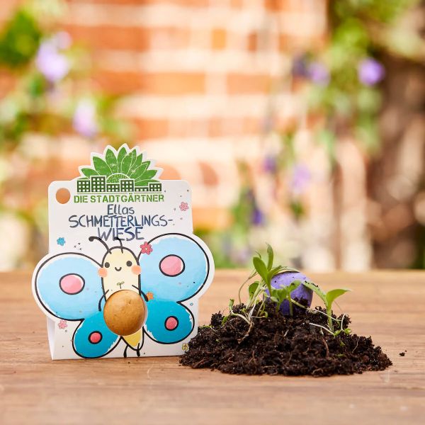 Blumenmurmel Schmetterlingswiese, 1 Stück