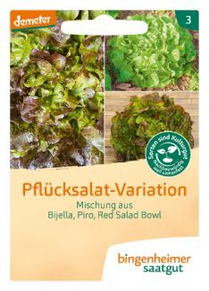 bingenheimer Saatgut Eichblattsalat "Pflücksalat-Variation"