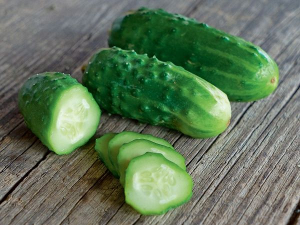bingenheimer Saatgaut Gurke "Liefje" -Einlegegurke