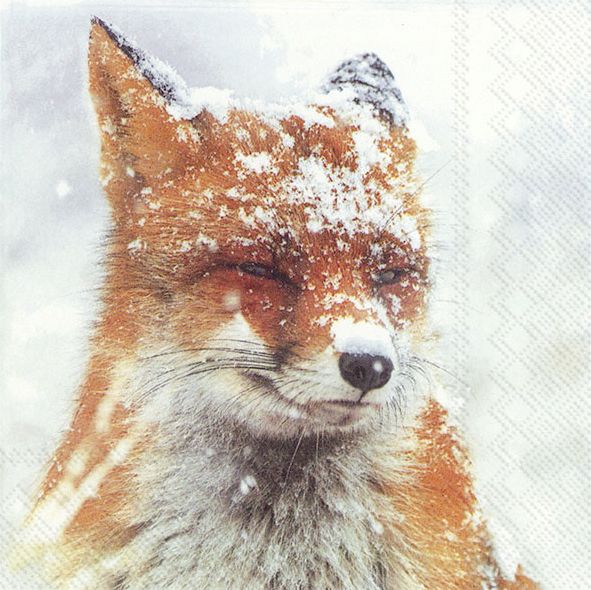 Lunch-Servietten "Winter Fox"