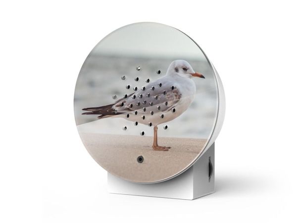 Oceanbox Baltic Seagull - Limited Edition