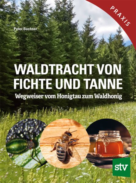 Peter Buchner, Waldtracht von Fichte und Tanne