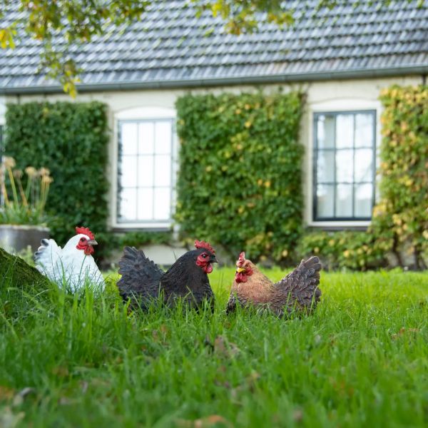 Huhn liegend, braun