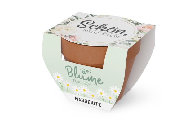 Blume für Dich "Schön das es Dich gibt", (Anzuchtset Margerite)