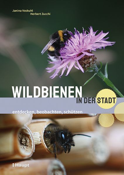 Voskuhl, Zucchi, Wildbienen in der Stadt