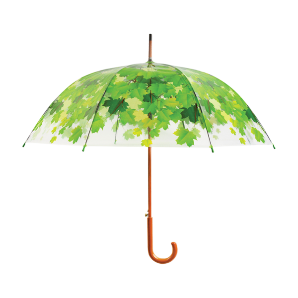 Regenschirm Baumkrone grün, transparent