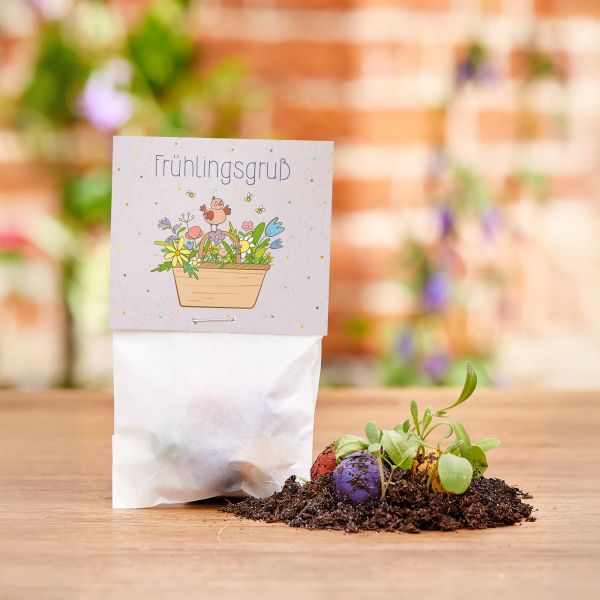 5er Blumenmurmeln im Pergaminbeutel - Frühlingsgruß