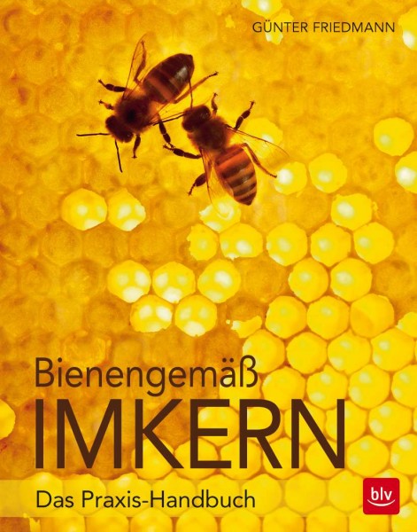 Bienengema-ss-Imkern