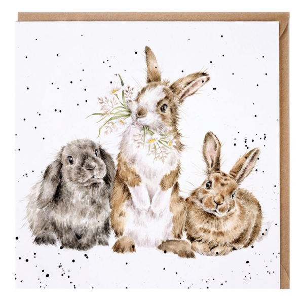 Wrendale Klappkarte Häschen "All Ears"