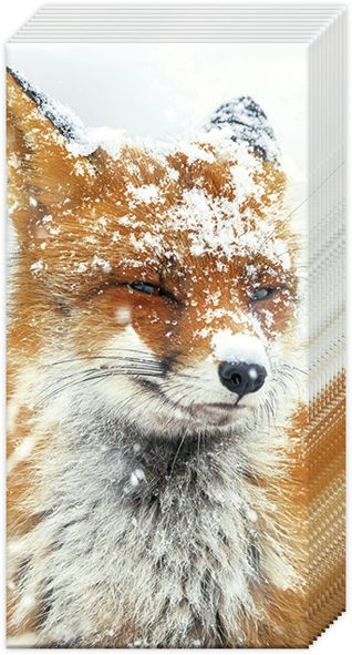 Papiertaschentücher "WINTER Fox"