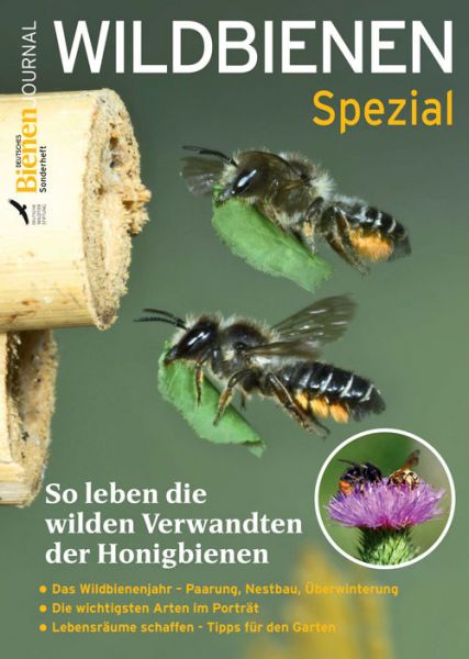 Bienenjournal Spezial - Wildbienen
