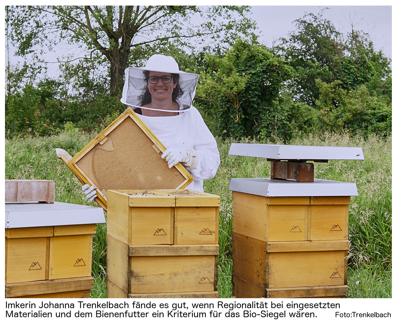 Nutztier Entry Gate Bienenzucht-Ausrüstung Bienenhaltung Packung of 10 