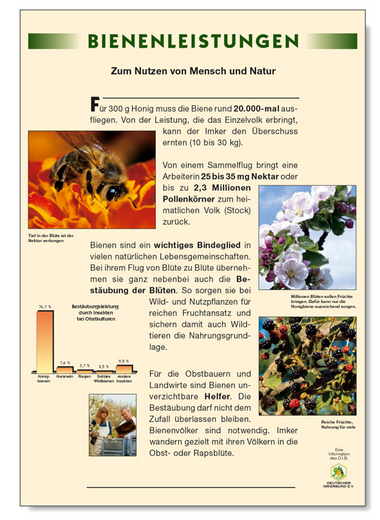 Poster Bienenleistung DIB - einzeln