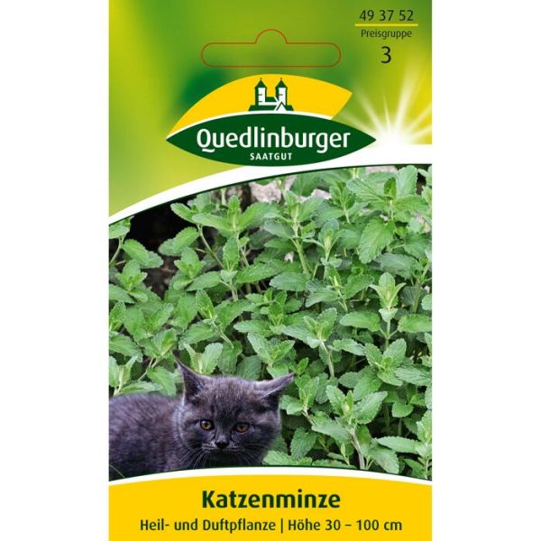Quedlinburger Saatgut Katzenminze
