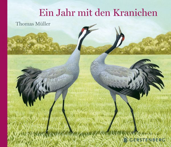 Thomas Müller, Ein Jahr mit den Kranichen
