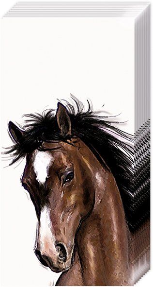 Papiertaschentücher "Amy and Lucy" white