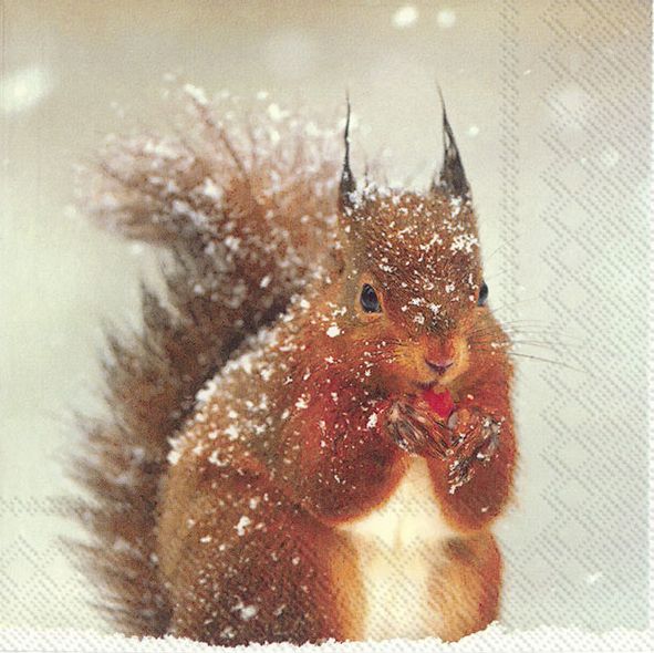 Lunch-Servietten "Winter Squirrel"
