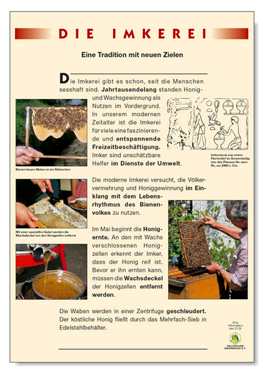 Poster Die Imkerei DIB - einzeln