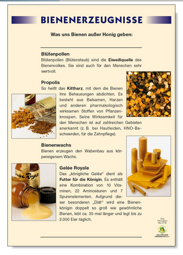 Poster Bienenerzeugnisse DIB - einzeln