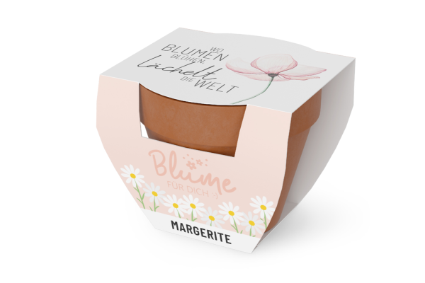 Blume für Dich "Wo Blumen blühen Lächelt die Welt", (Anzuchtset Margerite)