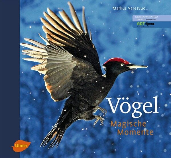 Markus Varesvuo, Vögel - Magische Momente
