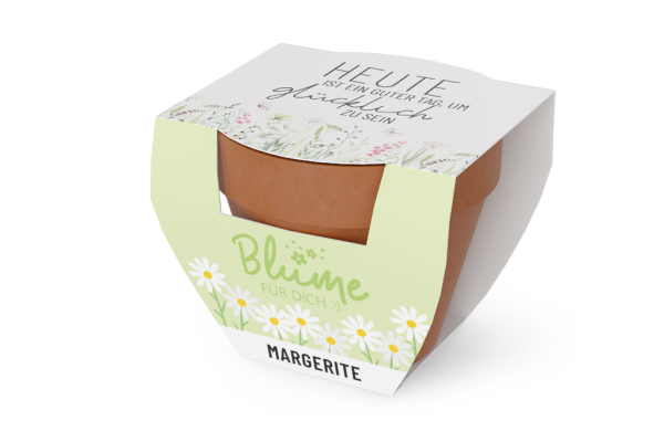 Blume für Dich "Heute ist ein guter Tag um Glücklich zu sein", (Anzuchtset Margerite)