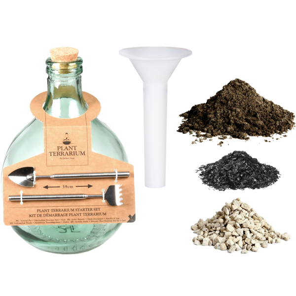 DIY Set Terrariumflasche 5 Liter - Pflanzenterrarium Starter-Set