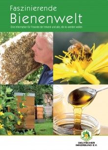 Broschüre "Faszinierende Bienenwelt"