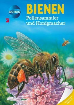 Galileo Wissen, Bienen